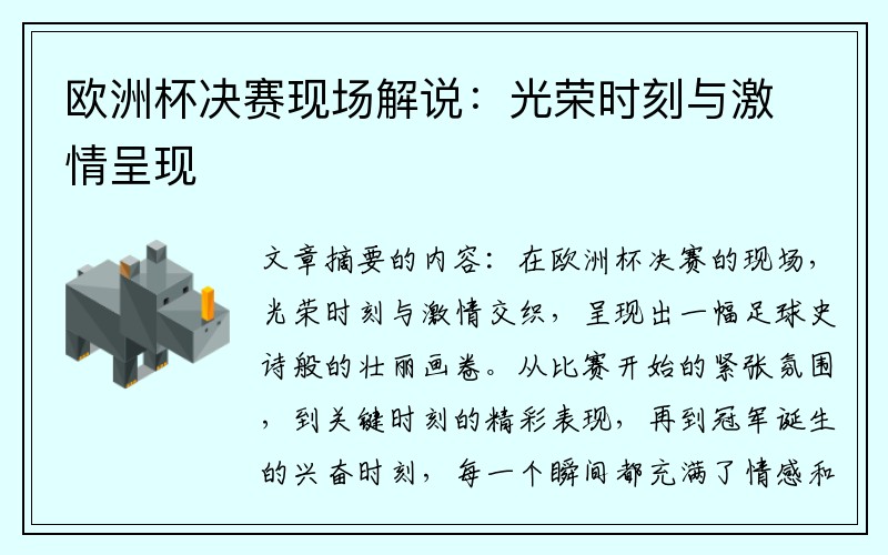 欧洲杯决赛现场解说:光荣时刻与激情呈现