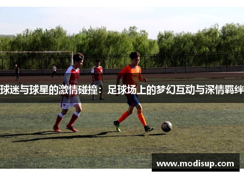 球迷与球星的激情碰撞:足球场上的梦幻互动与深情羁绊