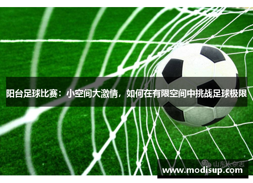 阳台足球比赛:小空间大激情,如何在有限空间中挑战足球极限