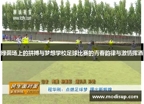 绿茵场上的拼搏与梦想学校足球比赛的青春韵律与激情挥洒