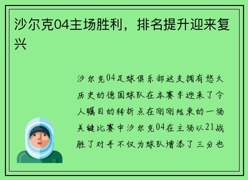 沙尔克04主场胜利，排名提升迎来复兴